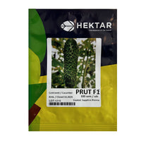 Thumbnail for Seminte Castraveti Prut F1