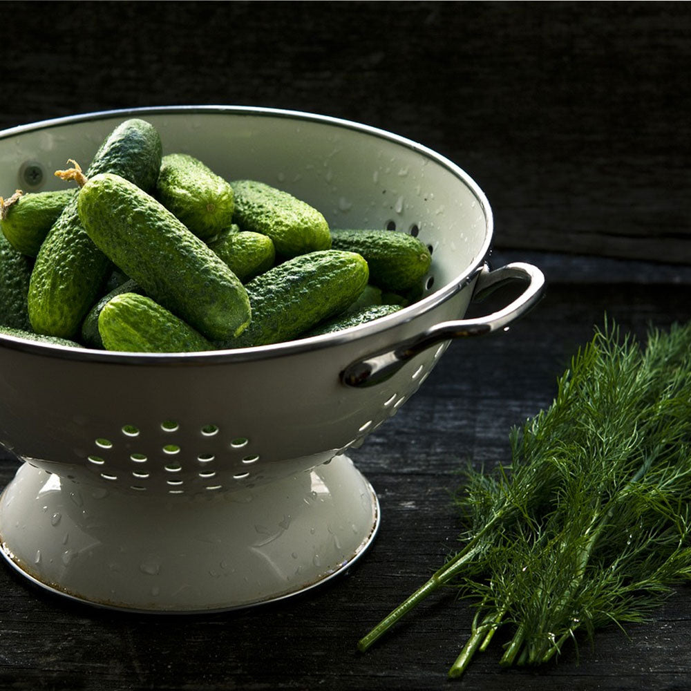 Seminte Castraveti Trilogy F1 250 sem