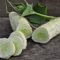 Thumbnail for Seminte Castraveti albi Paris Small White 1.5g