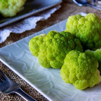 Thumbnail for Seminte Conopida Macerata green 1g