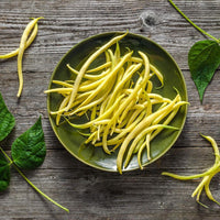 Thumbnail for Seminte Fasole Berggold 50g