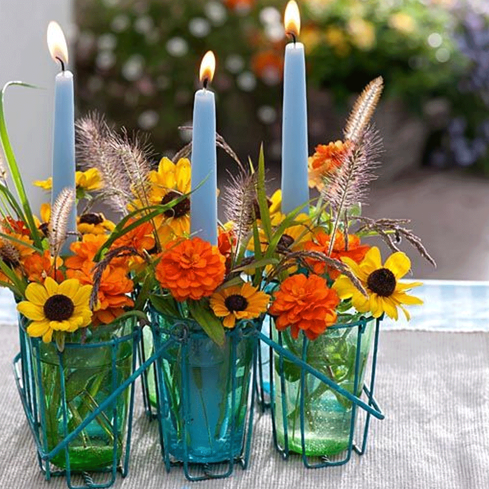 Seminte flori Carciumarese (Zinnia elegans) Portocalii 2 g