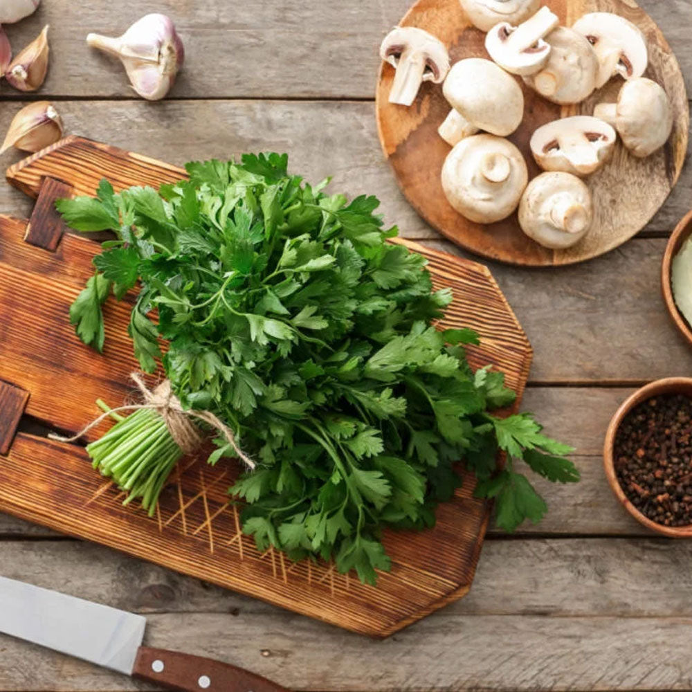 Seminte Patrunjel de frunze Gigante D`Italia 50 g