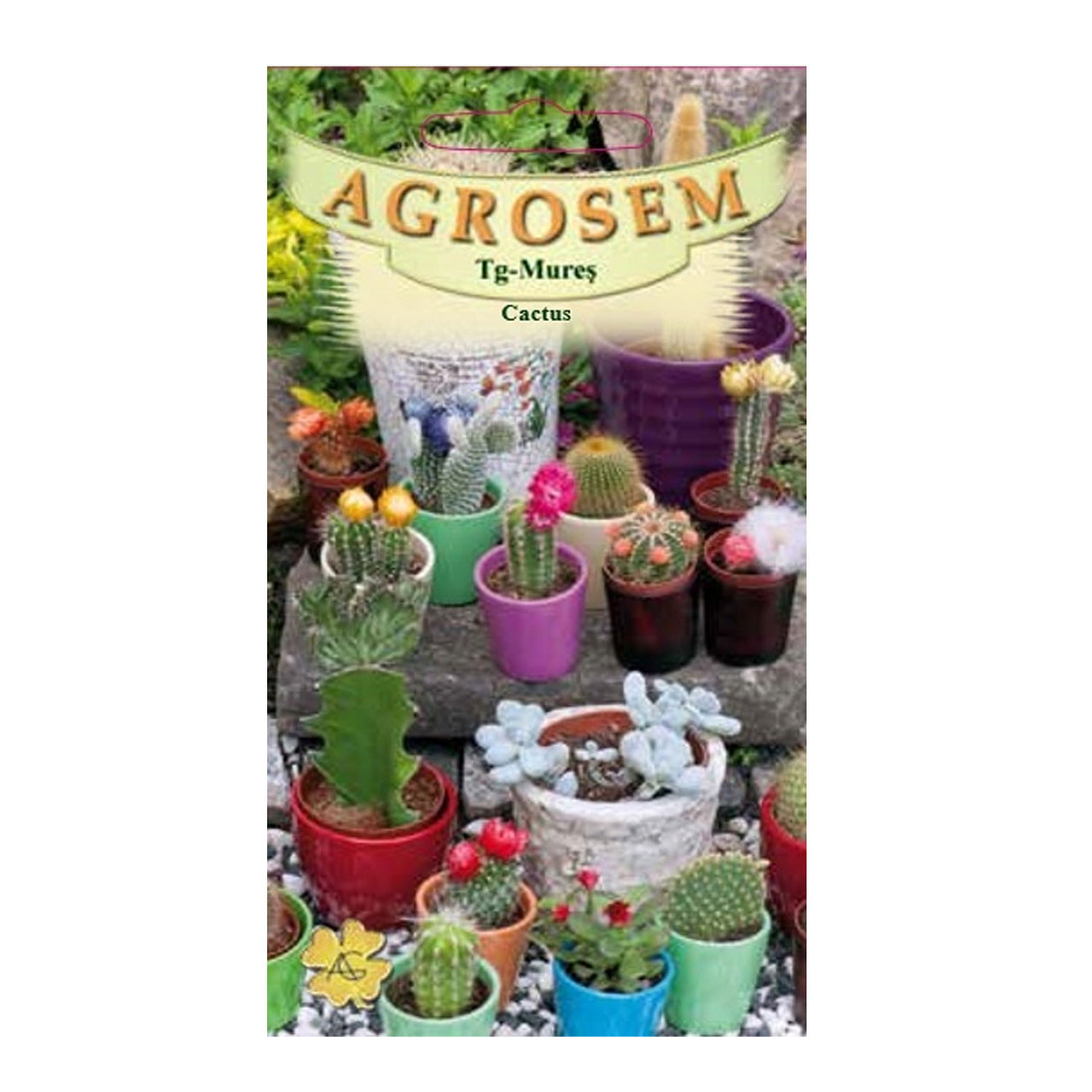 Seminte flori Cactus (Cactus specie) mix 0.05g