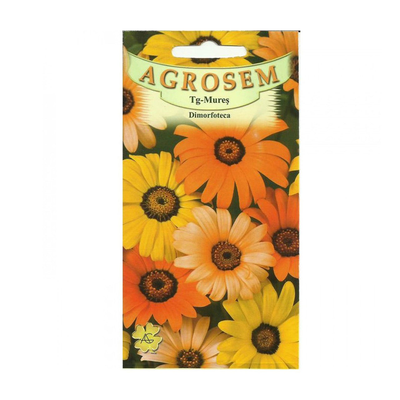 Seminte flori Dimorfoteca (Dimorphoteca sinuata) mix 0.4g