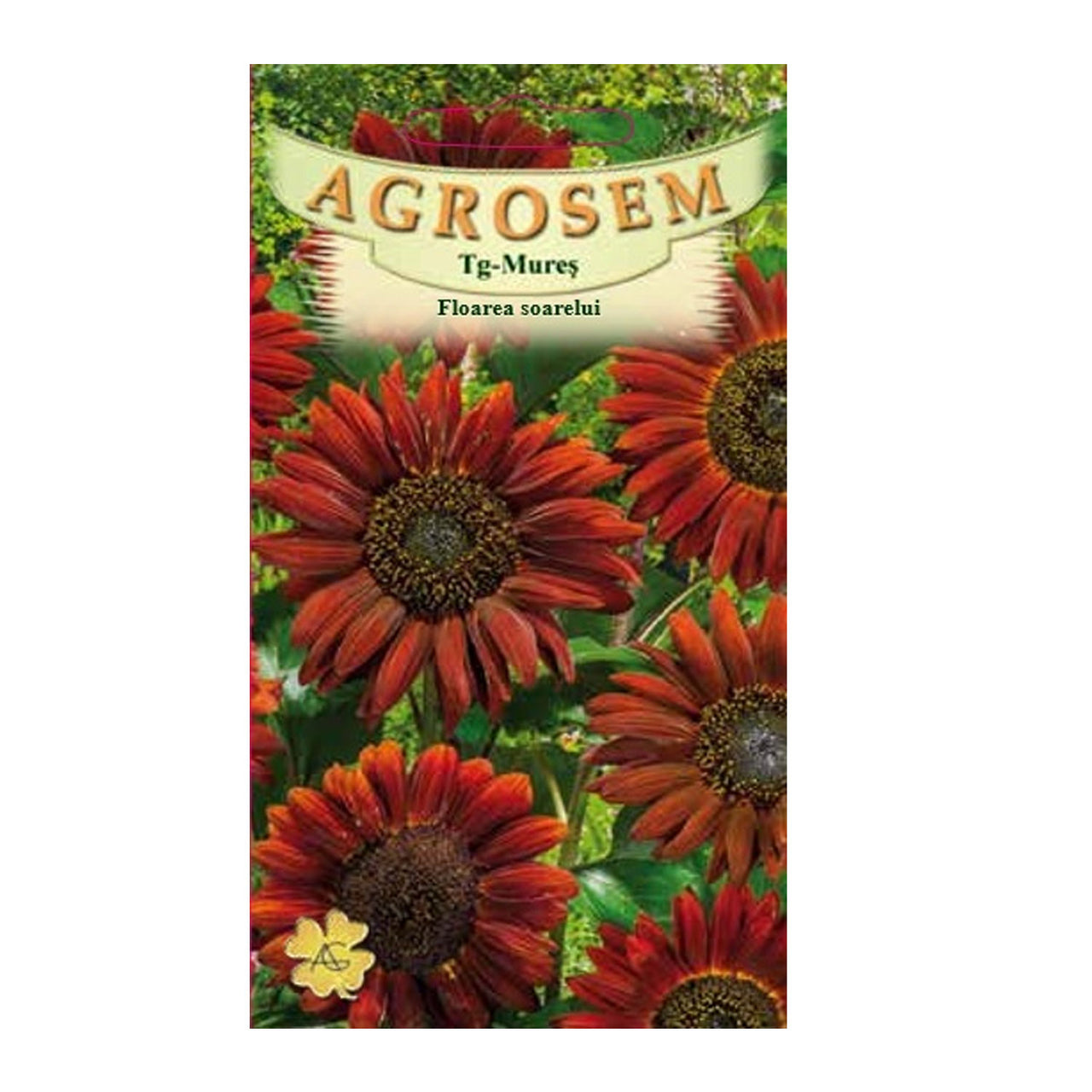 Seminte flori Floarea soarelui (Helianthus annuus) rosie 1.5g