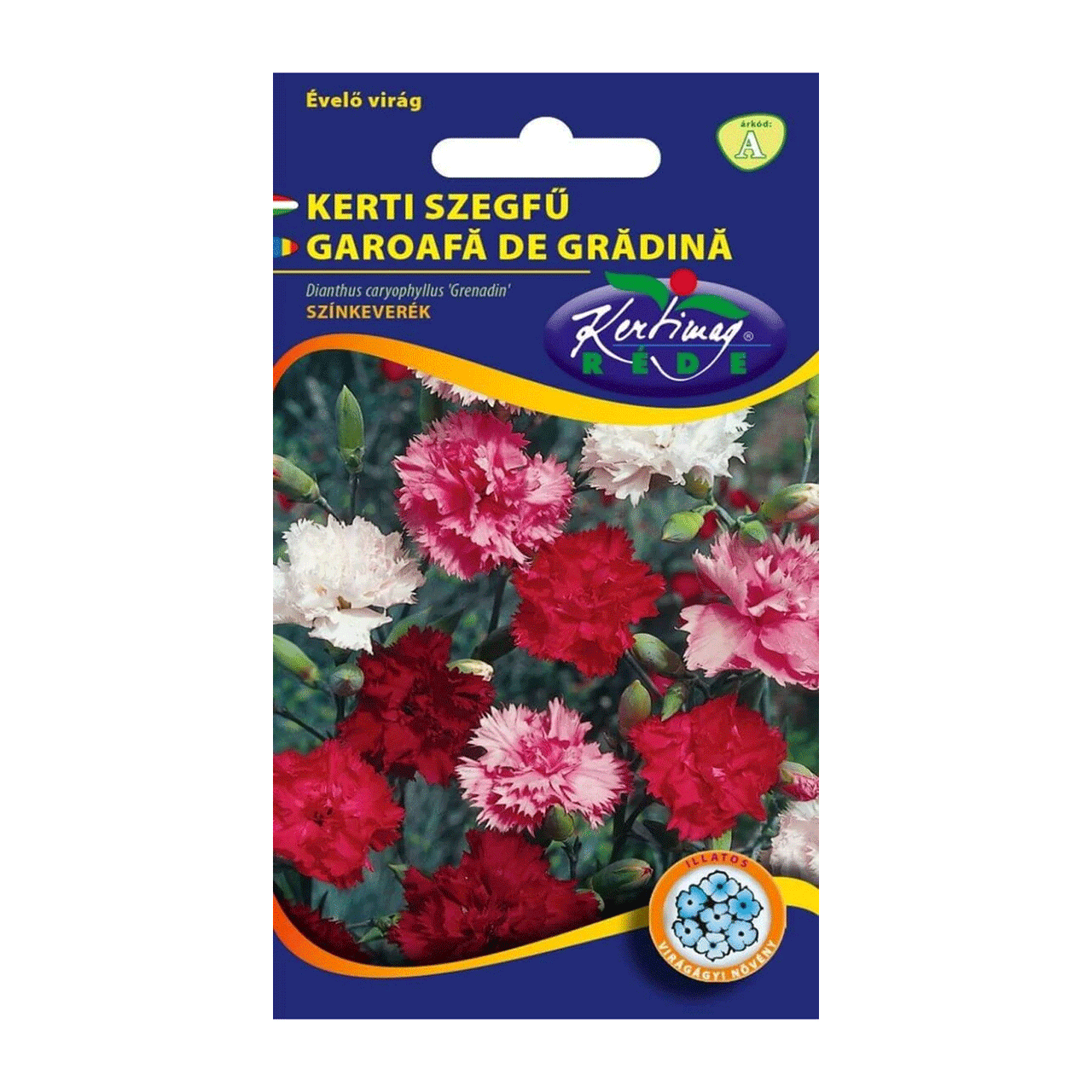 Seminte flori Garoafa de Gradina (Dianthus caryophyllus Grenadin) Mix 0.25 g