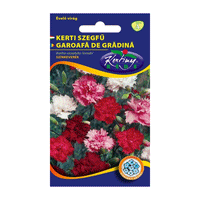Thumbnail for Seminte flori Garoafa de Gradina (Dianthus caryophyllus Grenadin) Mix 0.25 g