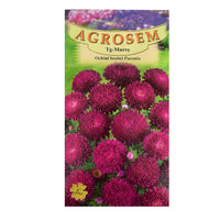 Thumbnail for Seminte flori Ochiul Boului Paeonia (Callistephus Chinensis) rosu 0.4g