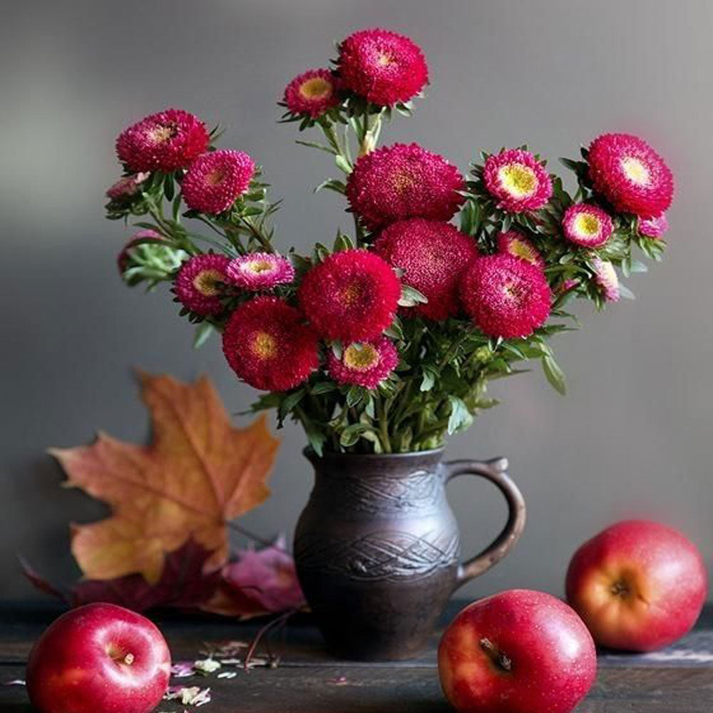 Seminte flori Ochiul Boului Princess (Callistephus Chinensis) rosu 1g