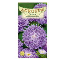 Thumbnail for Seminte flori Ochiul Boului Princess (Callistephus Chinensis) albastru 0.4g