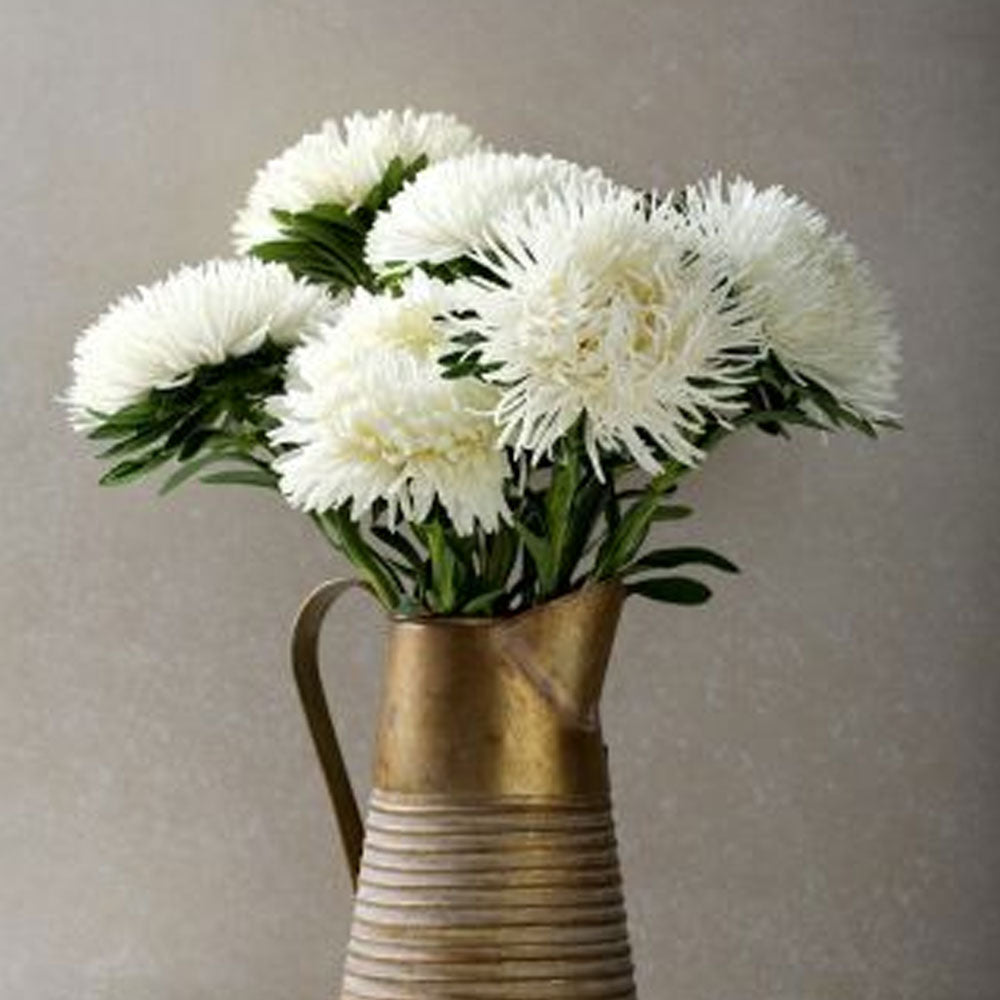 Seminte flori Ochiul Boului Strahlen (Callistephus Chinensis) alb 1g