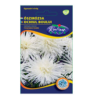 Thumbnail for Seminte flori Ochiul Boului Strahlen (Callistephus Chinensis) alb 1g