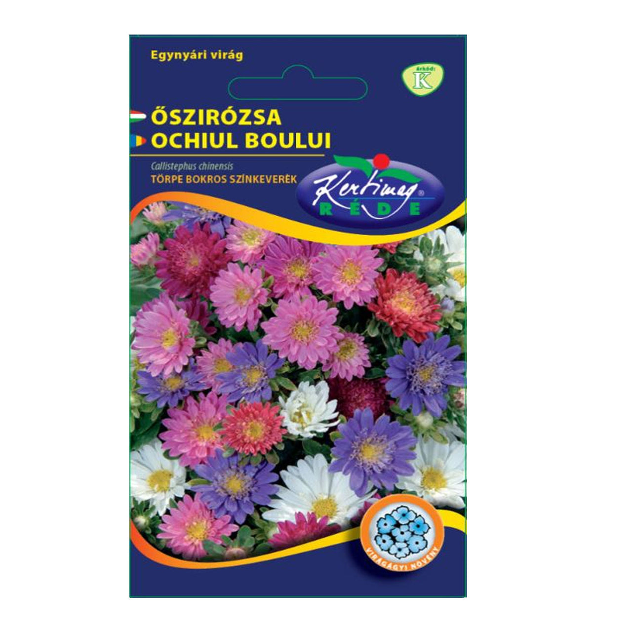 Seminte flori Ochiul boului pitic (Callistephus chinensis) mix 1g