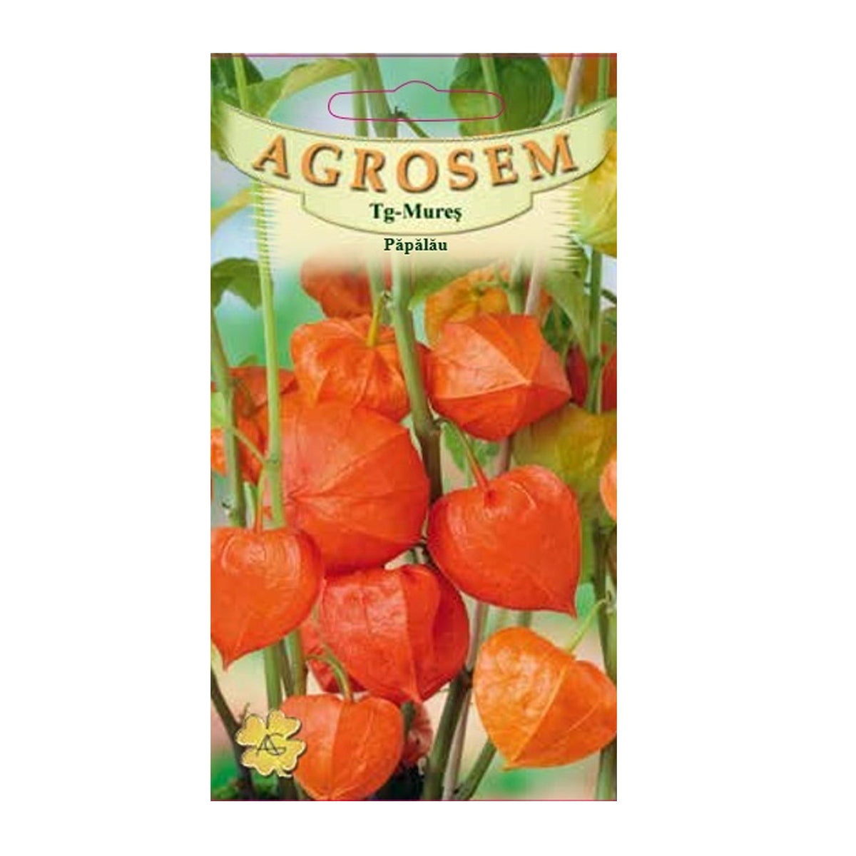 Seminte flori Papalau (Physalis alkekengi) alb 0.2g