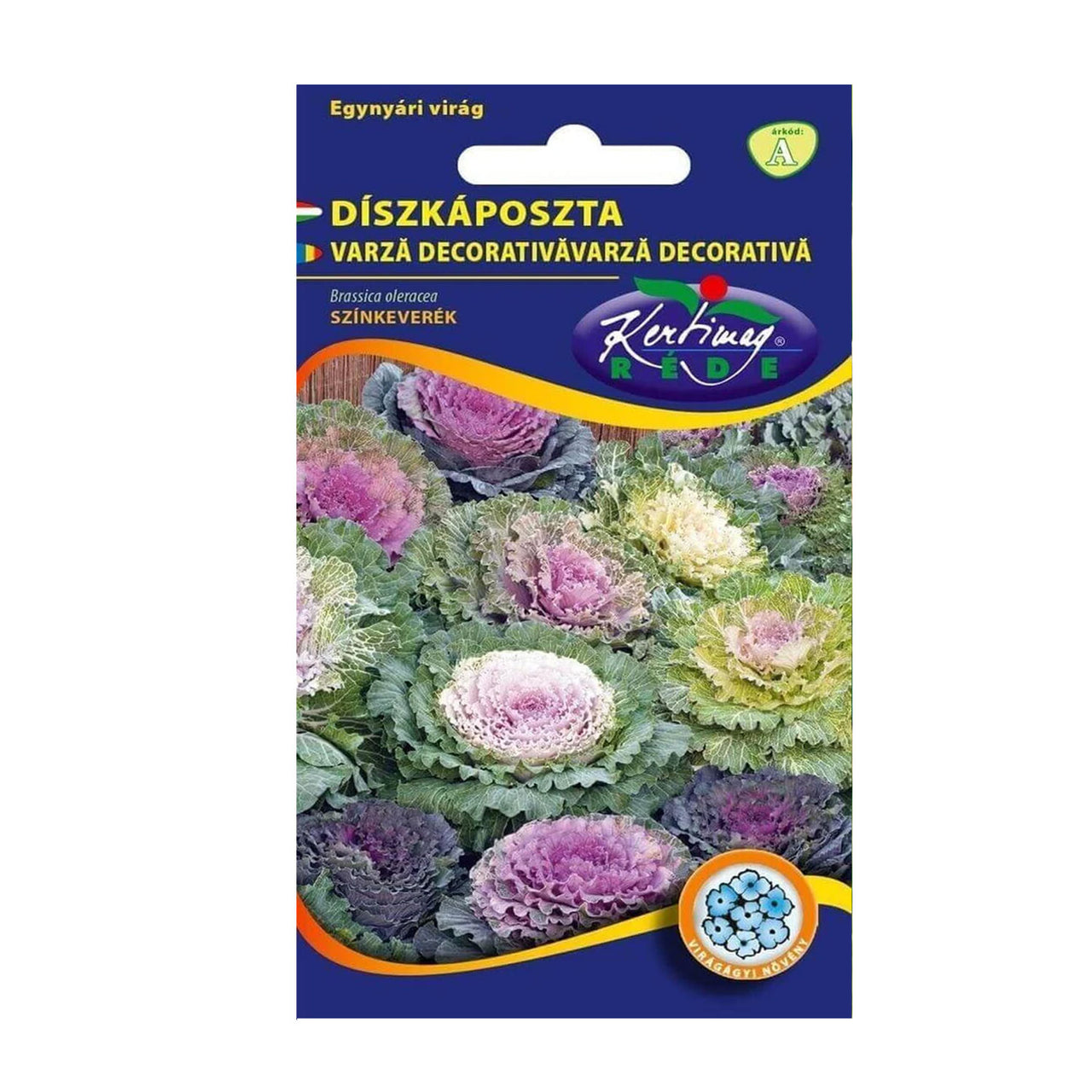 Seminte flori Varza decorativa (Brassica oleracea) mix 0,5g