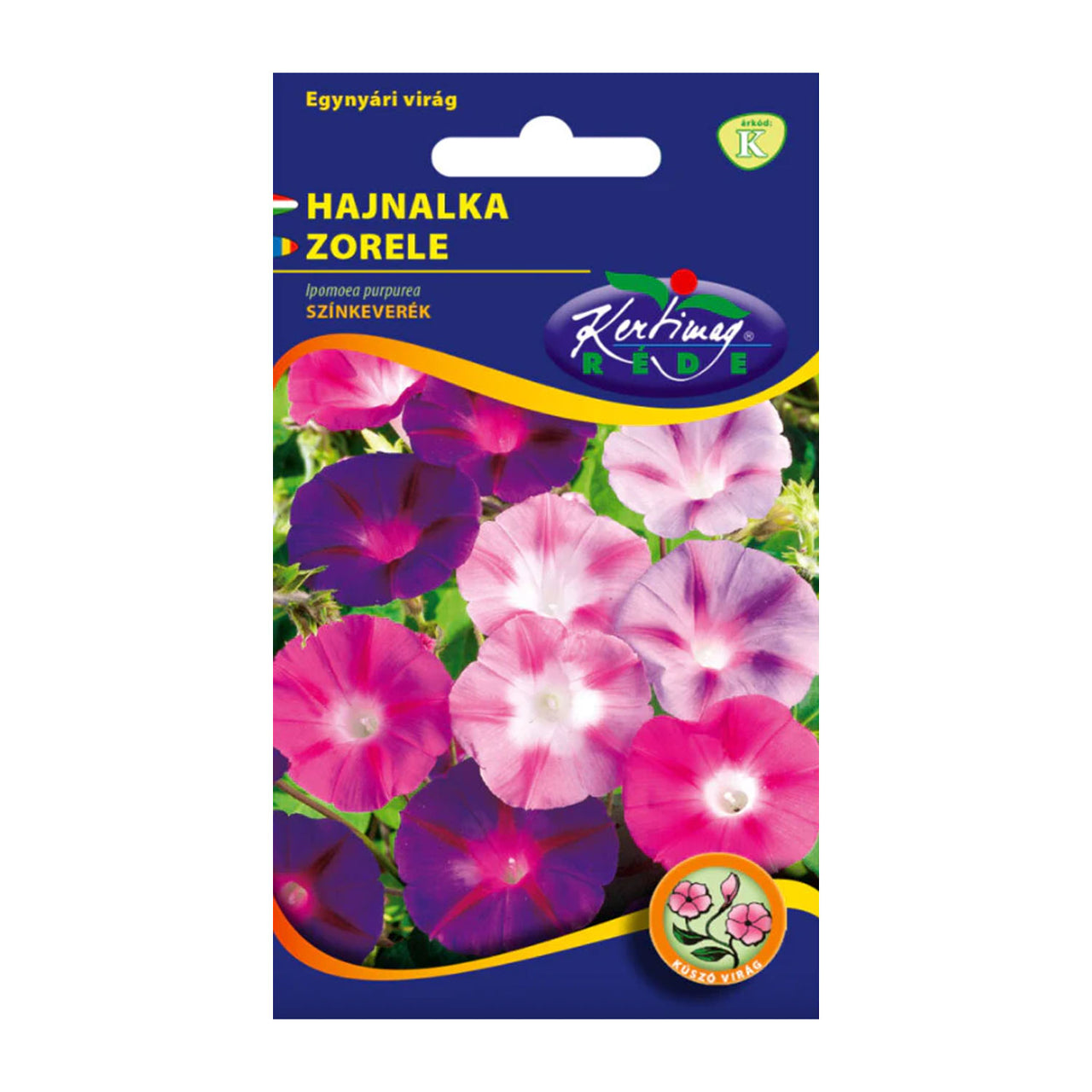 Seminte flori Zorele (Ipomea purpurea) mix 2g