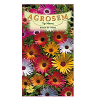 Thumbnail for Seminte flori Floare de cristal (Mesembryanthemum criniflorum) mix 0.3g