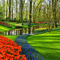 Thumbnail for Seminte de gazon Landscaper Pro Finesse (5 kg, 10 kg)