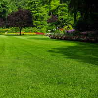 Thumbnail for Seminte de gazon Landscaper Pro Sun & Shade (5 kg, 10 kg)