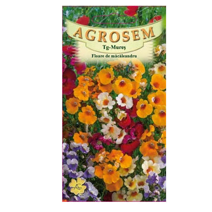 Seminte flori Floare de Macaleandru (Nemesia strumosa) mix 0.15g