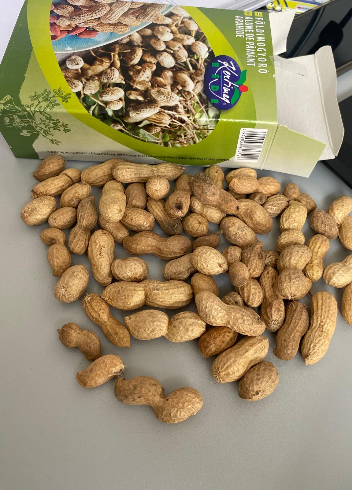 Seminte Alune de pamant, arahide 100g