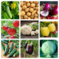 Thumbnail for Fungicid Amistar (7.5ml, 10ml, 75ml, 100ml)