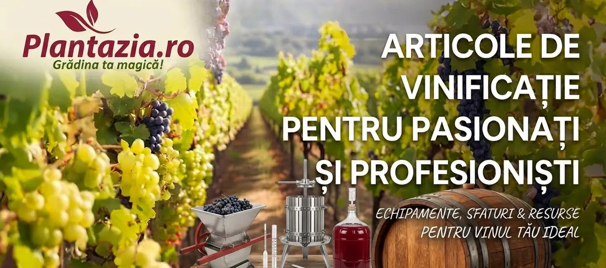 Vinificație