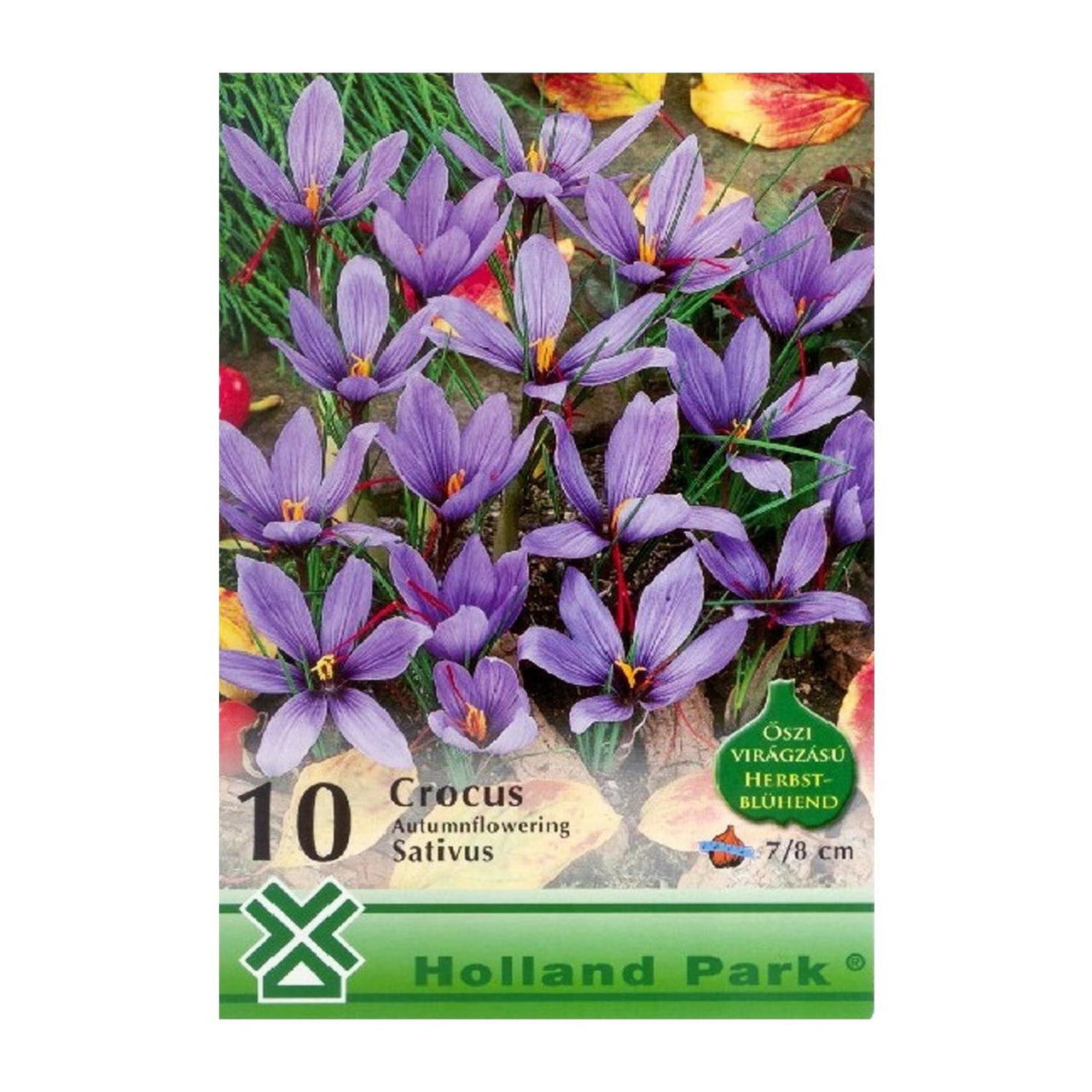 Bulbi Crocusi Sativus 10 buc