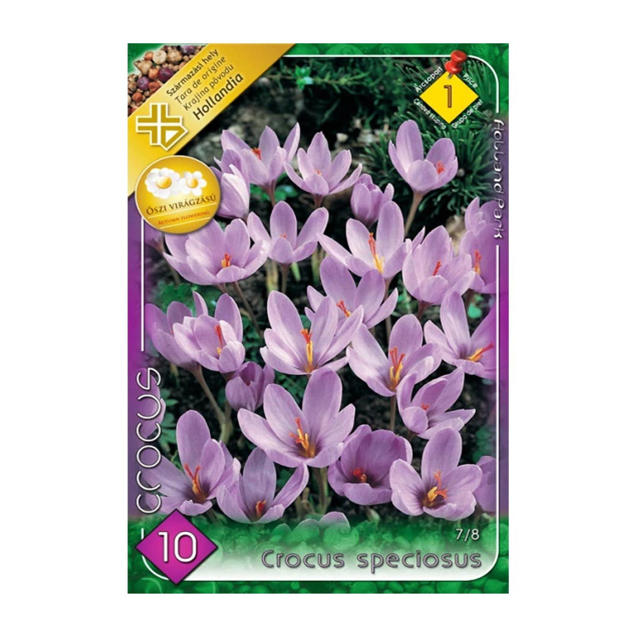 Bulbi Crocusi Speciosus 10 buc