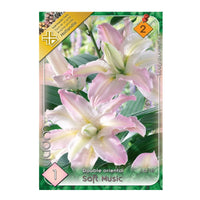 Thumbnail for Bulbi Crini Soft Music 1 buc