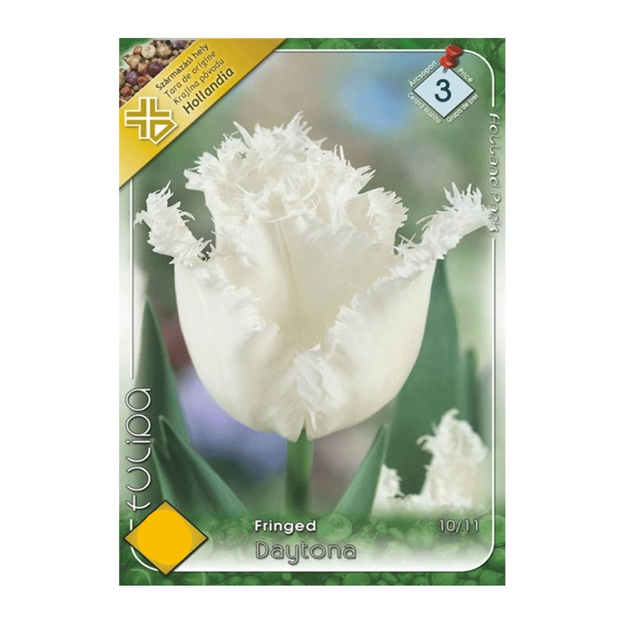 Bulbi Lalele Honeymoon/Daytona 7 buc