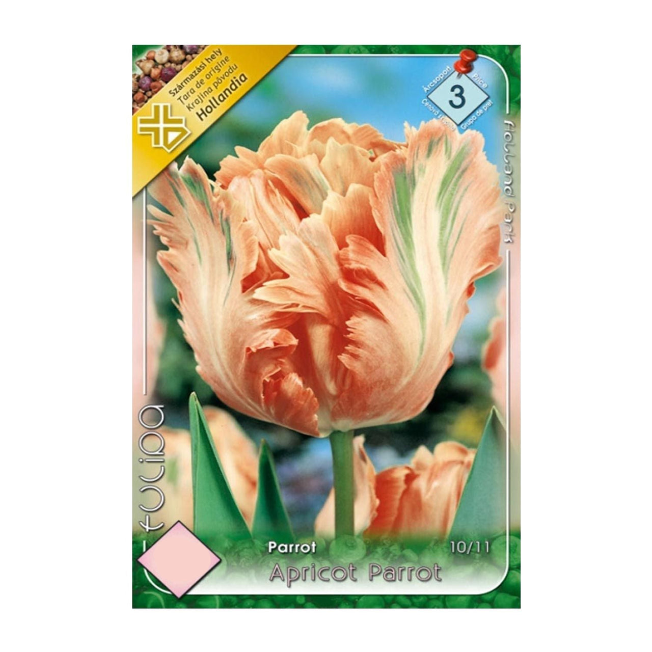 Bulbi Lalele Apricot Parrot 5 buc