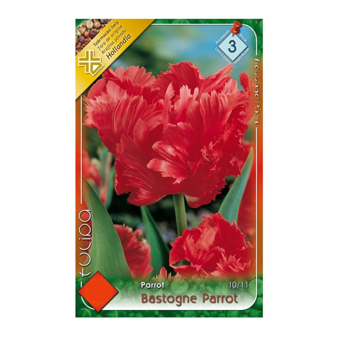 Bulbi Lalele Bastogne Parrot 10 buc