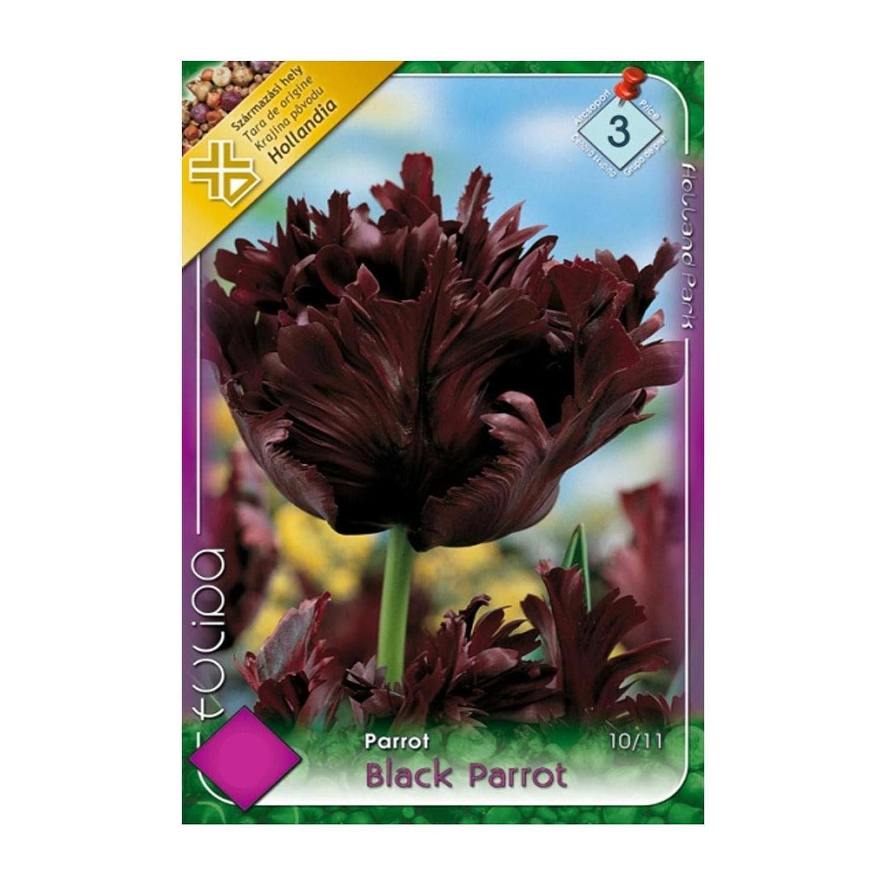 Bulbi Lalele Black Parrot 7 buc