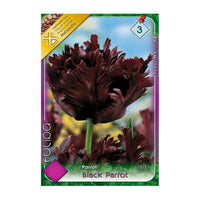 Thumbnail for Bulbi Lalele Black Parrot 7 buc