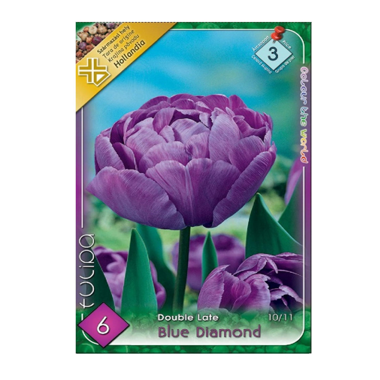 Bulbi Lalele Blue Diamond 6 buc