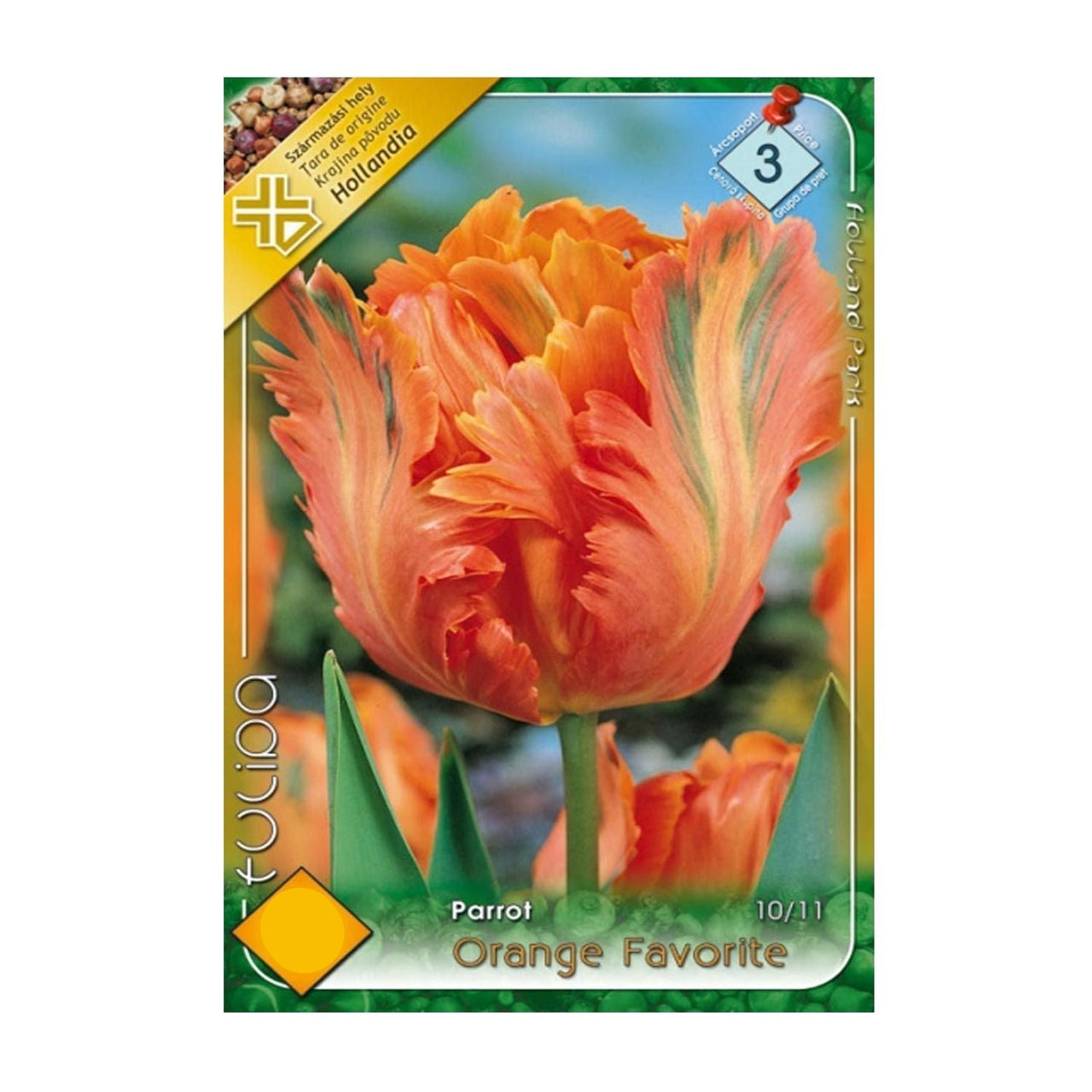 Bulbi Lalele Orange Favorite 7 buc