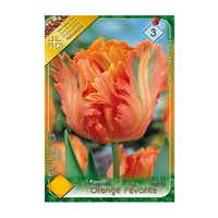 Thumbnail for Bulbi Lalele Orange Favorite 7 buc