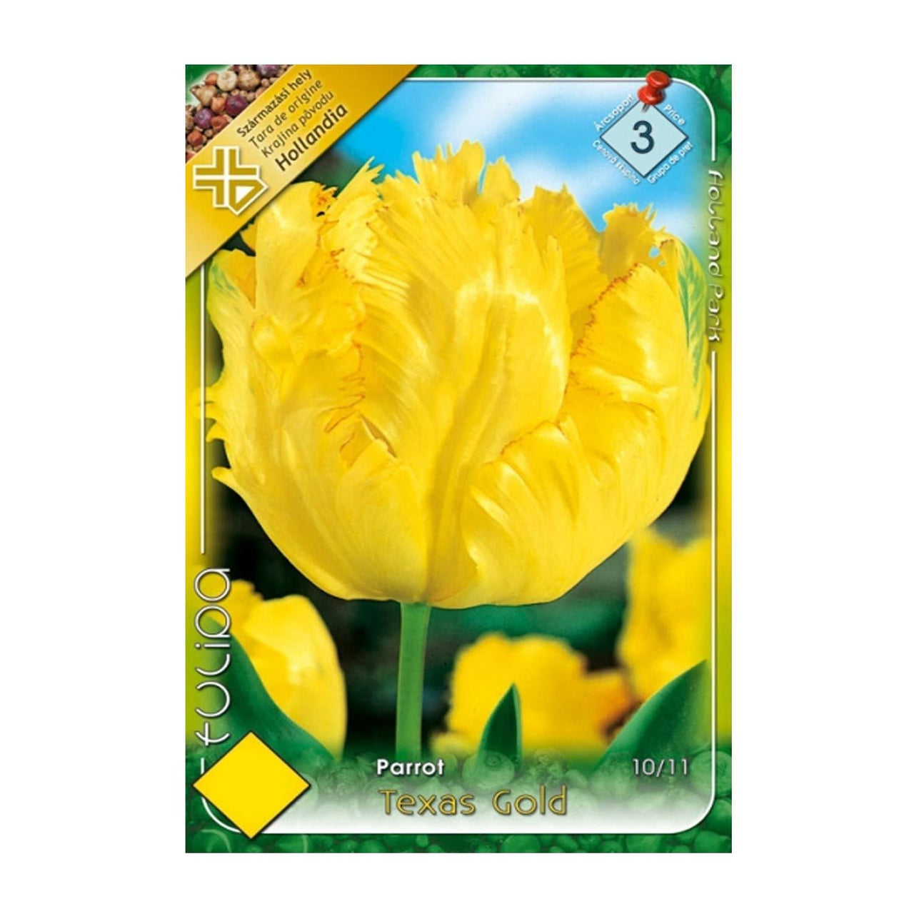Bulbi Lalele Texas Gold 7 buc