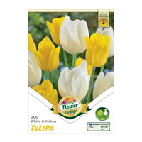 Thumbnail for Bulbi Lalele Duo Galben si Alb 6 buc