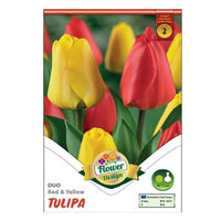 Thumbnail for Bulbi Lalele Duo Rosu si Galben 6 buc