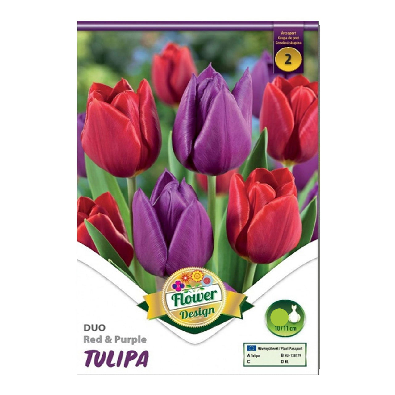 Bulbi Lalele Duo Rosu si Mov 6 buc