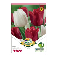 Thumbnail for Bulbi Lalele Duo Rosu si Alb 6 buc