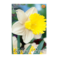 Thumbnail for Bulbi Narcise Goblet 5 buc