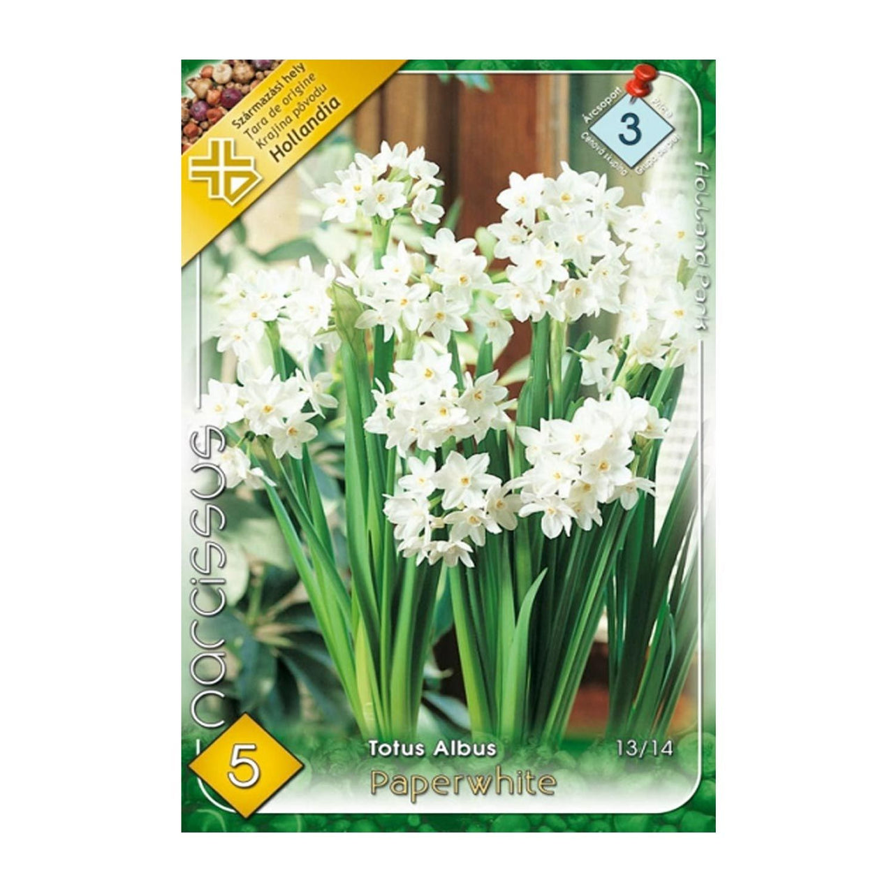 Bulbi Narcise Paperwhite 5 buc