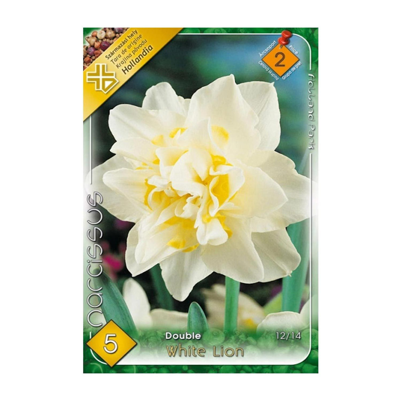 Bulbi Narcise White Lion 5 buc