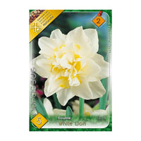Thumbnail for Bulbi Narcise White Lion 5 buc