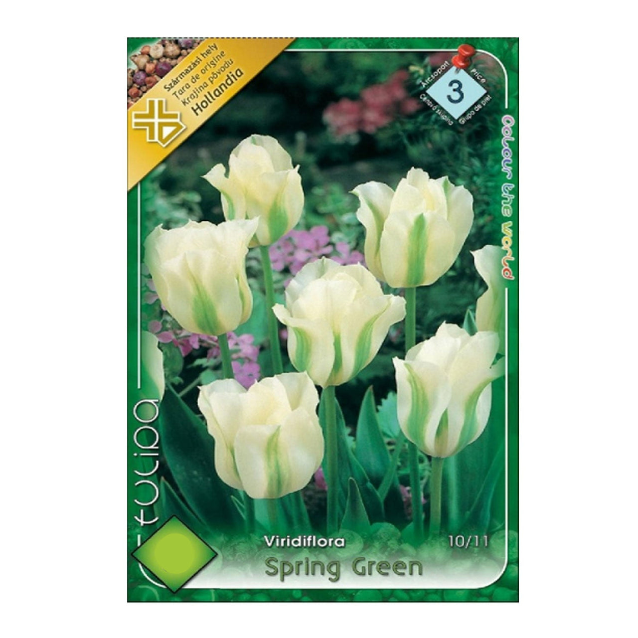 Bulbi Lalele Spring Green 7 buc