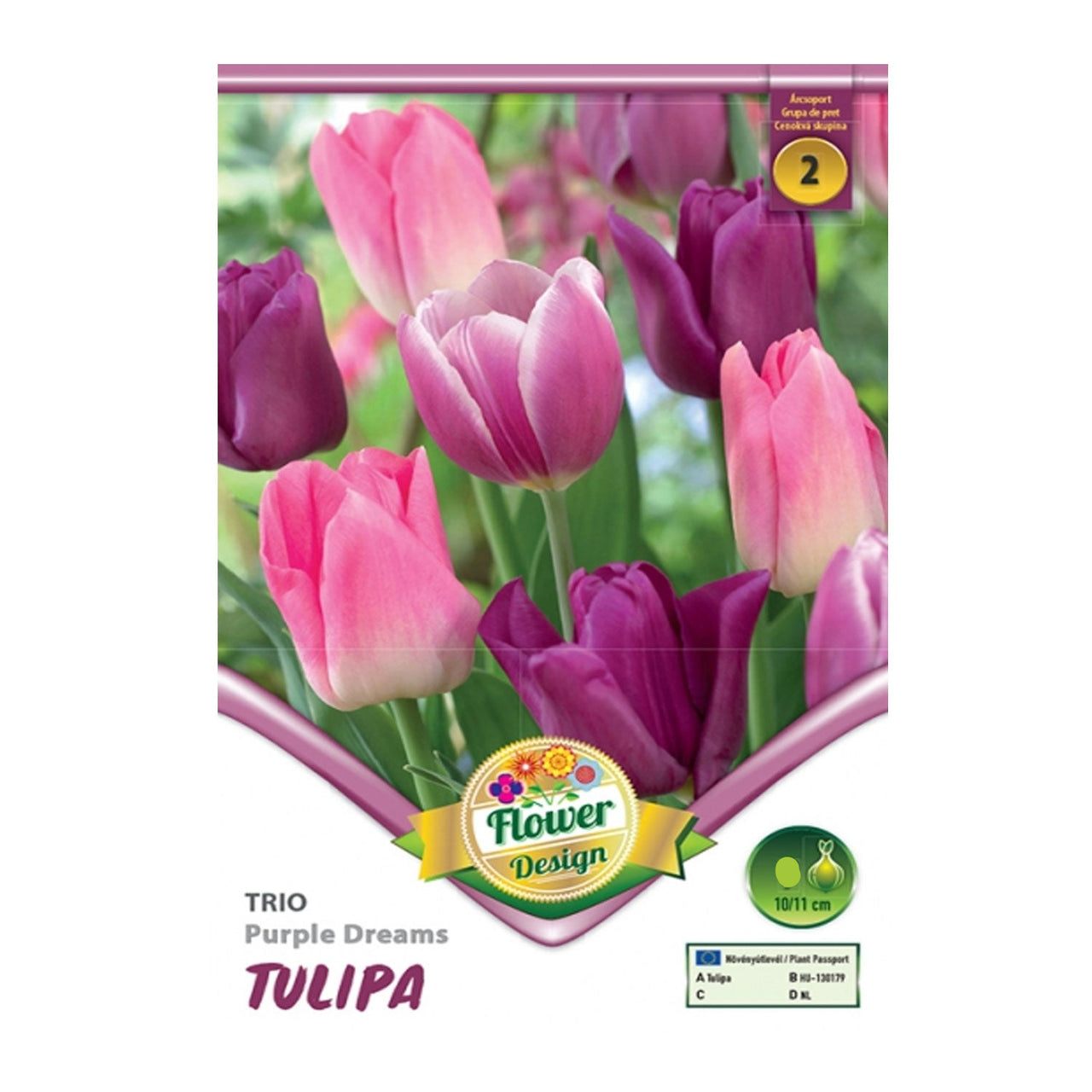 Bulbi Lalele Trio Purple Dreams 6 buc